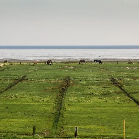Duenenhuus West Σπίτι διακοπών